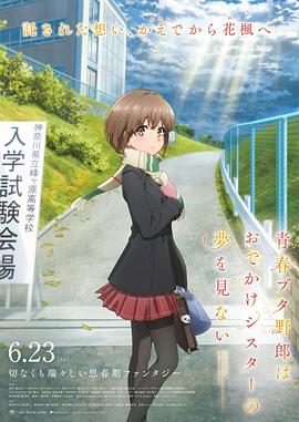 日韩aⅴ片