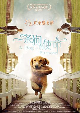 av天天干