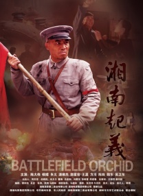 长期研究导论