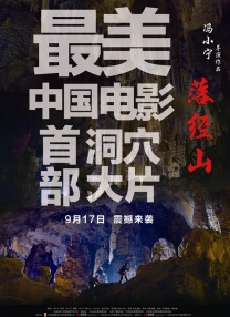 龙月泰剧电视剧全集免费观看