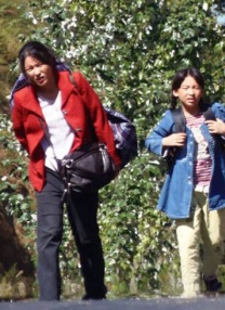 久草中文在线