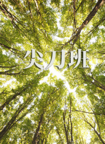 日韩精品dvd