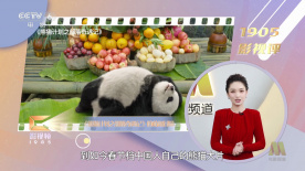 成人午夜电影网